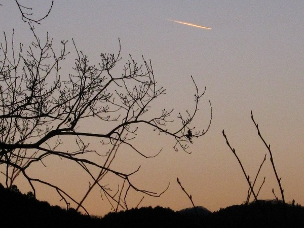 夕暮れの飛行機雲.JPG