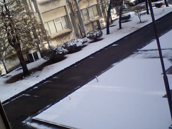 雪が積もった２.JPG