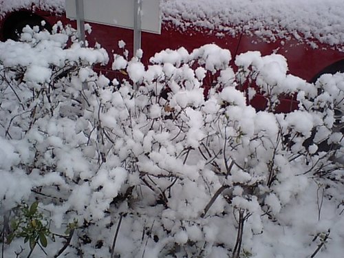 雪景色02181.JPG