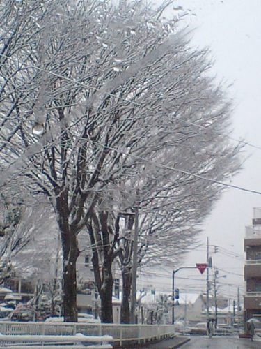 雪景色02182.JPG