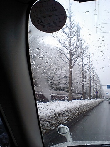 雪景色02184.JPG