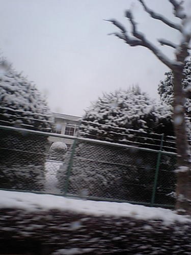 雪景色02186.JPG